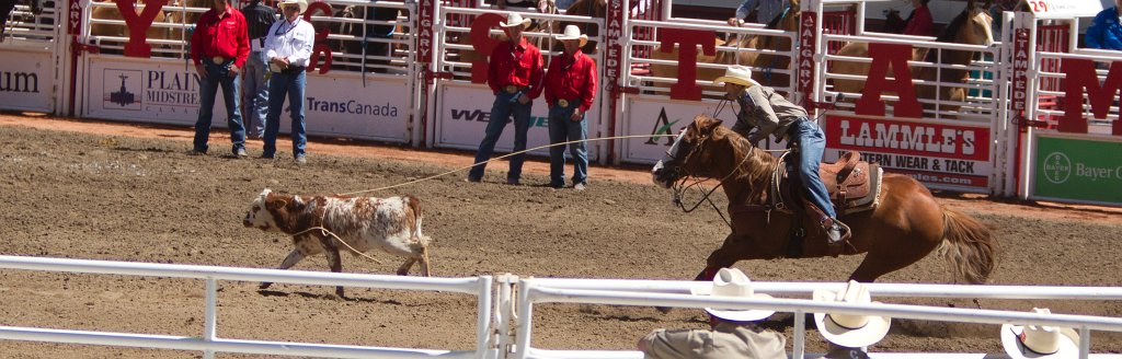 Calgary Stampede-1439.jpg